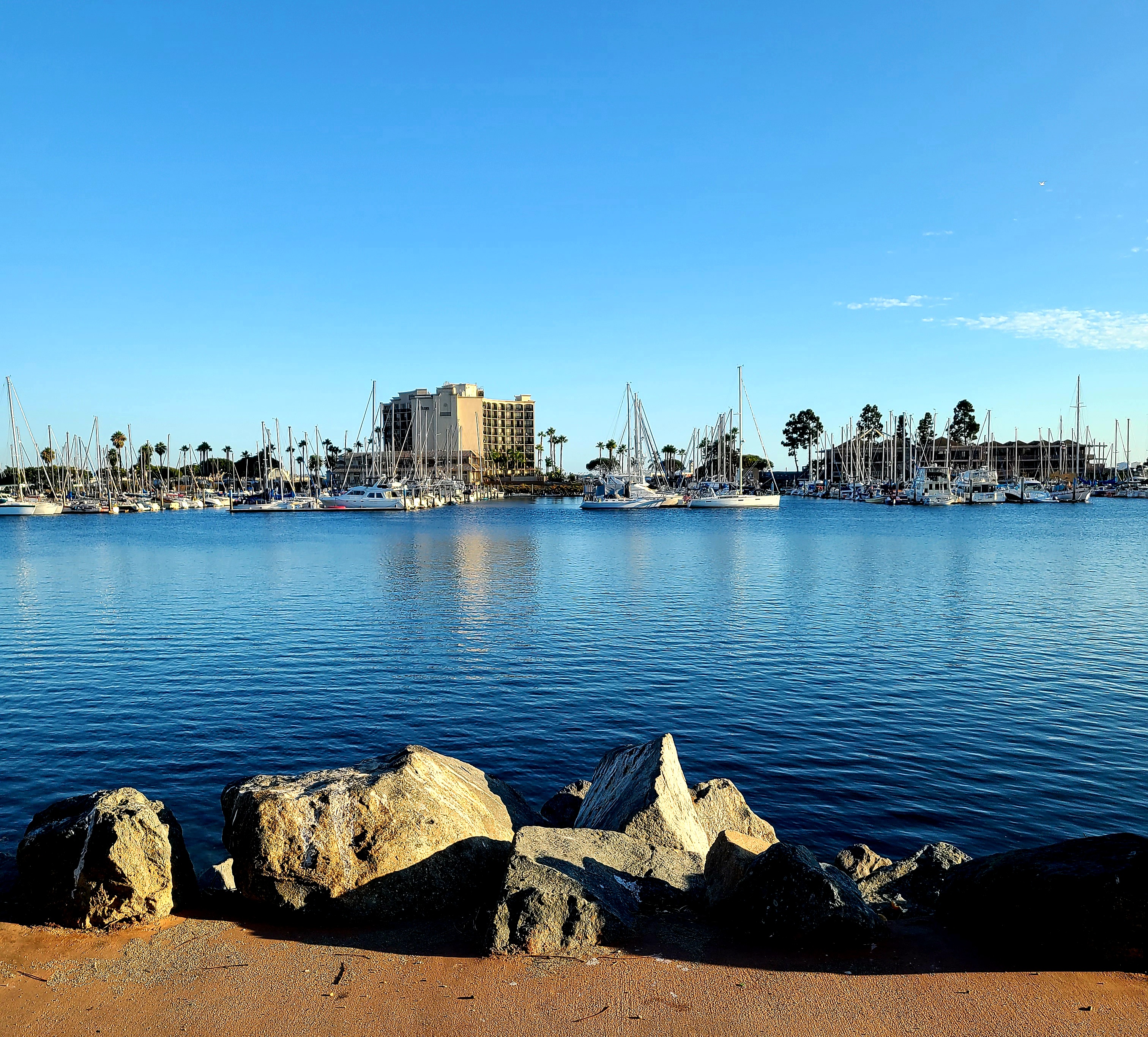 View of Harbor Island, San Diego, from Spanish Landing Park — the peninsula that is home to JADA and dozens of other maritime businesses operating without a dedicated regional trade group